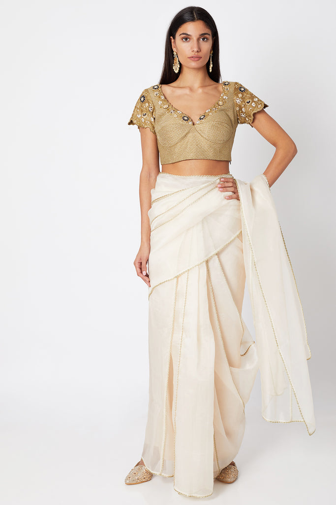 Sheer Organza Saree with Planned Pleats and Embroidered Blouse Frontview